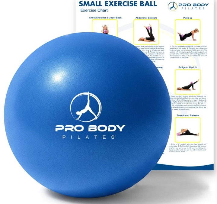 ProBody Pilates Mini Pelota de Ejercicio – Bola de 9 Pulgadas para Entrenamiento de Pilates