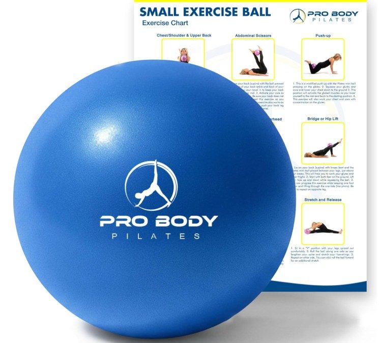 ProBody Pilates Mini Pelota de Ejercicio – Bola de 9 Pulgadas para Entrenamiento de Estabilidad, Barra, Yoga, Núcleo y Terapia Física