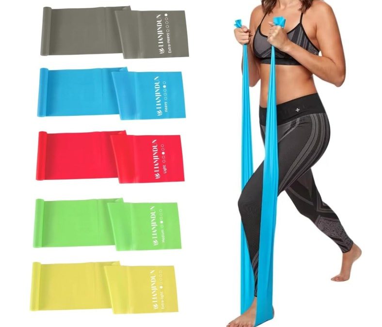 5 Pcs Professional Resistance Bands. Latex-Free, Pilates Band, Work Out Bands, Stretch Bands for Working Out Women or Men, Exercise Bands Set for Pilates, Physical Therapy